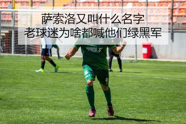 sa-suo-luo-you-jiao-shen-me-ming-zi-lao-qiu-mi-wei-sha-dou-han-ta-men-lv-hei-jun-2-545.jpg