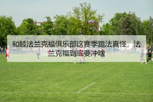 和睦法兰克福俱乐部这赛季踢法真怪，法兰克福到底要冲啥（kaiyun）