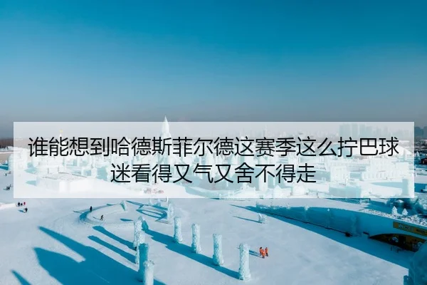 shui-neng-xiang-dao-ha-de-si-fei-er-de-zhe-sai-ji-zhe-me-ning-ba-qiu-mi-kan-de-you-qi-you-she-bu-de-zou-2-762.jpg