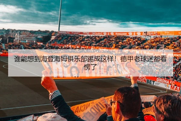 谁能想到海登海姆俱乐部踢成这样！德甲老球迷都看愣了（kaiyun）