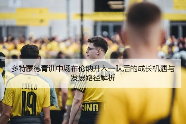 多特蒙德青训中场布伦纳升入一队后的成长机遇与发展路径解析（kaiyun）
