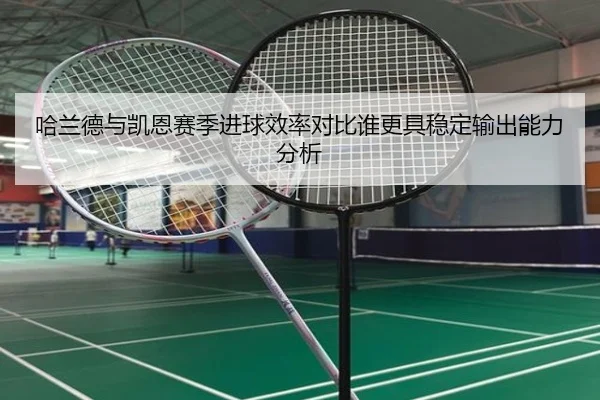 哈兰德与凯恩赛季进球效率对比谁更具稳定输出能力分析