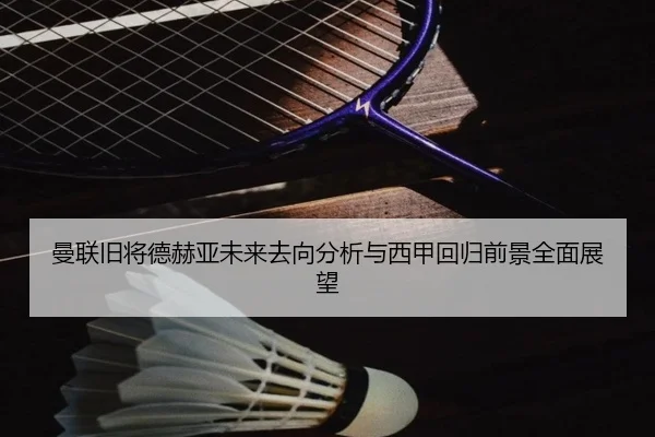 曼联旧将德赫亚未来去向分析与西甲回归前景全面展望