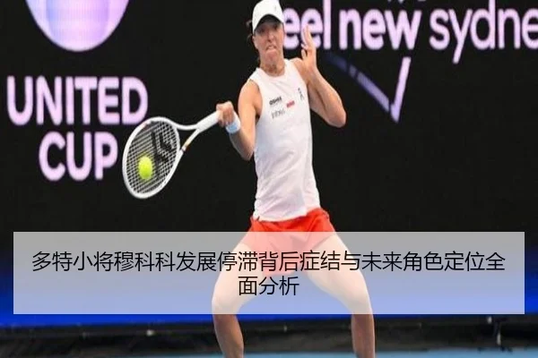多特小将穆科科发展停滞背后症结与未来角色定位全面分析